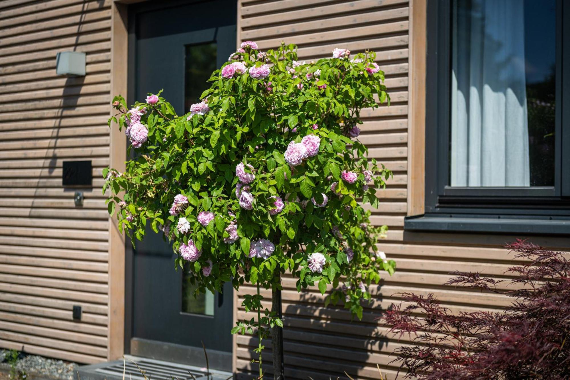 Deine Genuss-Auszeit Villa Asendorf Exterior foto